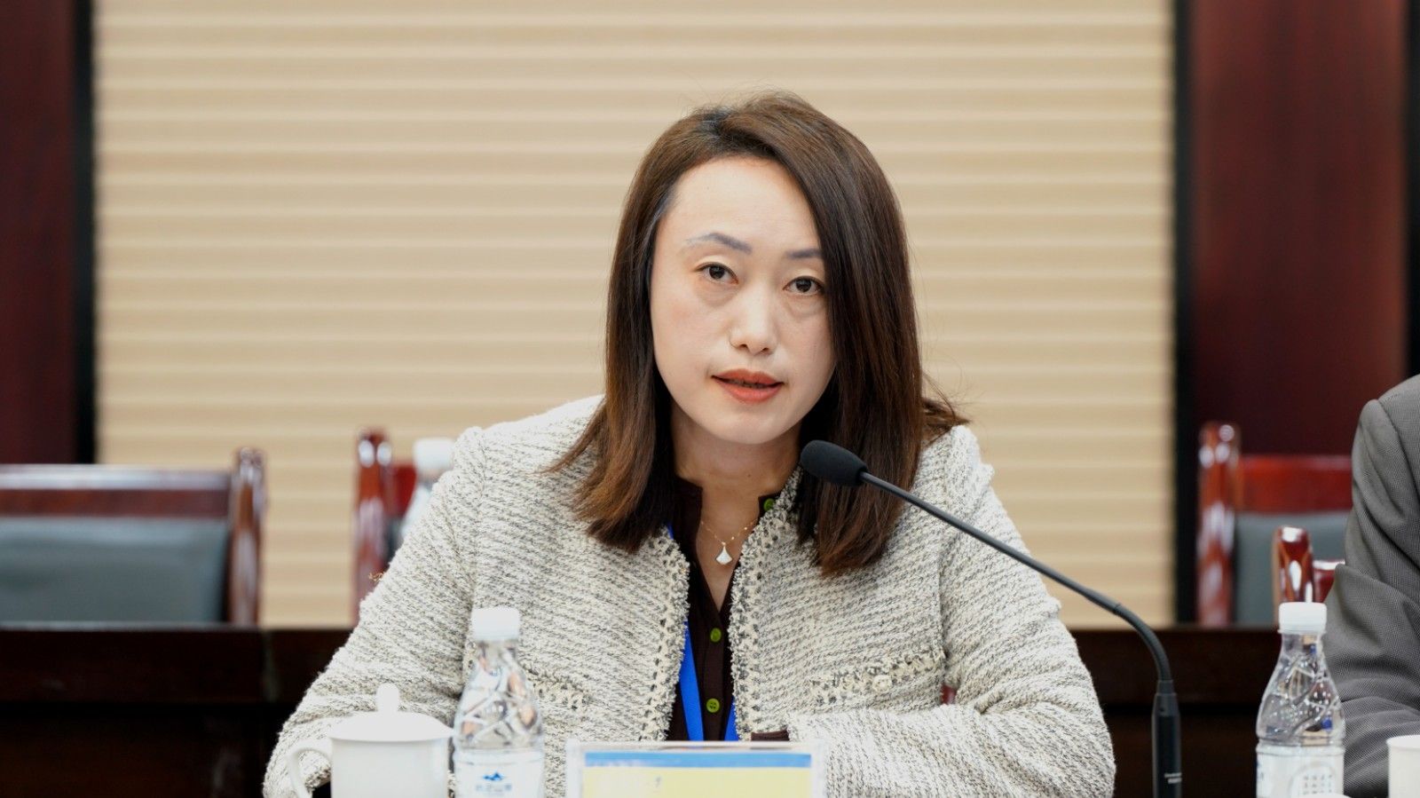 1732787876794908.jpg 吳丹發(fā)言.jpg