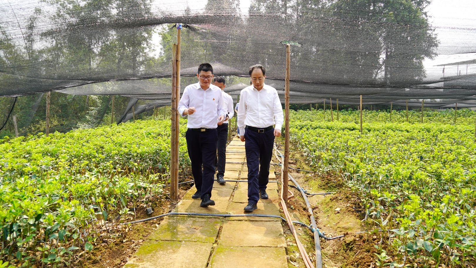 1725420006651014.jpg 微信圖片_20240904111938.jpg