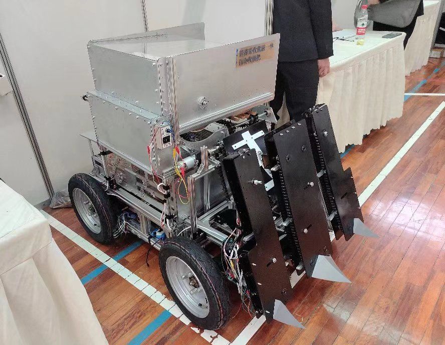 1721368250151086.jpg 苦蕎1.jpg